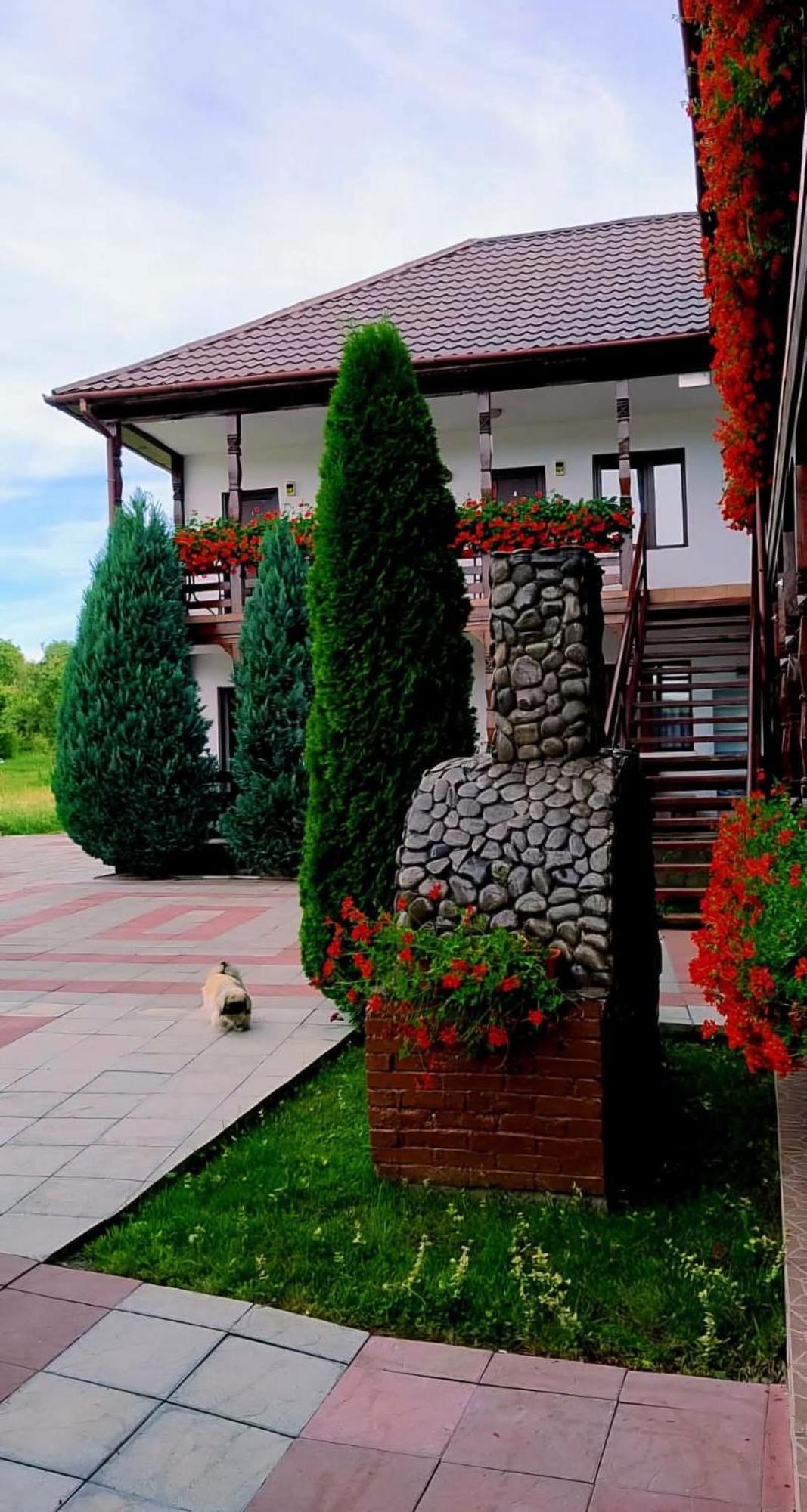 Cris & Mona Hotel Sapinta Ngoại thất bức ảnh